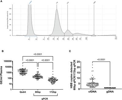 Detection of HTLV-1 proviral DNA in cell-free DNA: Potential for non-invasive monitoring of Adult T cell leukaemia/lymphoma using liquid biopsy?